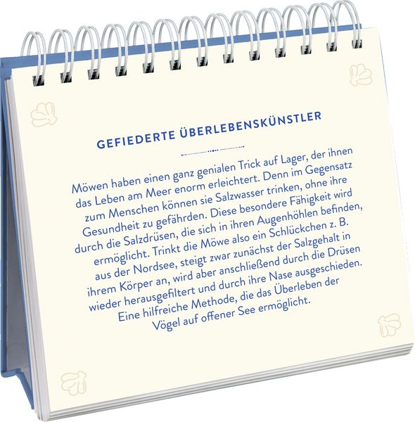 Produktbild: Sehnsuchtsort Meer