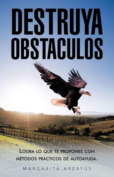 Produktbild: Destruya Obstaculos