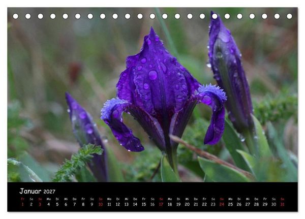 Produktbild: Naturjuwelen - Neusiedler See (Tischkalender 2027 DIN A5 quer), CALVENDO Monatskalender