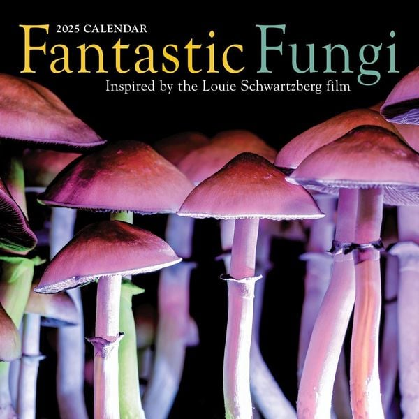 Produktbild: Fantastic Fungi Wall Calendar 2025