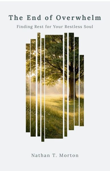 Produktbild: The End of Overwhelm