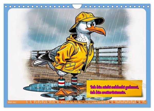 Produktbild: Lustige M&ouml;wen von der K&uuml;ste (Wandkalender 2027 DIN A4 quer), CALVENDO Monatskalender
