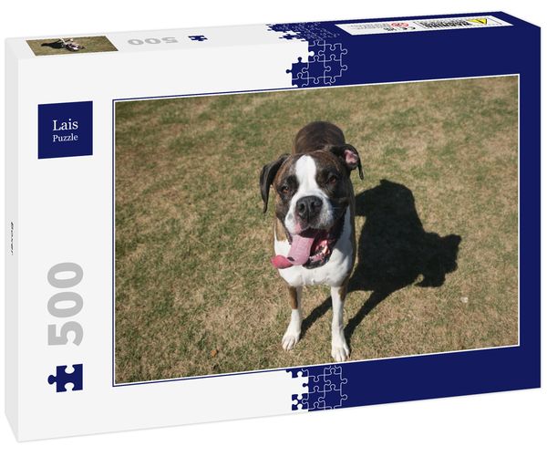 Lais Puzzle Boxer 500 Teile