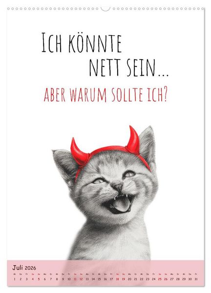 Produktbild: Katzenkult - Coolness auf vier Pfoten (Wandkalender 2026 DIN A2 hoch), CALVENDO Monatskalender