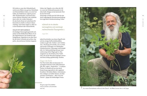 Produktbild: Die "Unkr&auml;uter" in meinem Garten