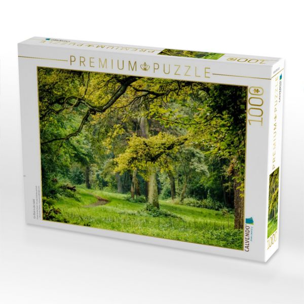 Produktbild: CALVENDO Puzzle Ein Blick in den Wald | 1000 Teile Lege-Gr&ouml;&szlig;e 64x48cm Foto-Puzzle f&uuml;r gl&uuml;ckliche Stunden