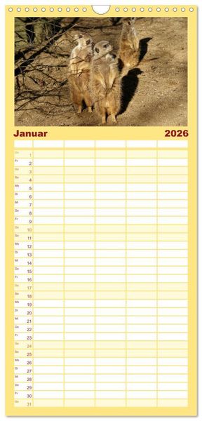Produktbild: Familienplaner 2026 - Erdm&auml;nnchen - Zusammen sind wir stark mit 5 Spalten (Wandkalender, 21 x 45 cm) CALVENDO