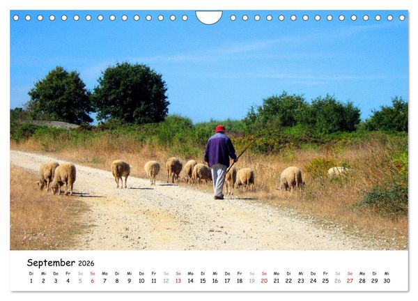 Produktbild: Jakobsweg - Camino Primitivo (Wandkalender 2026 DIN A4 quer), CALVENDO Monatskalender
