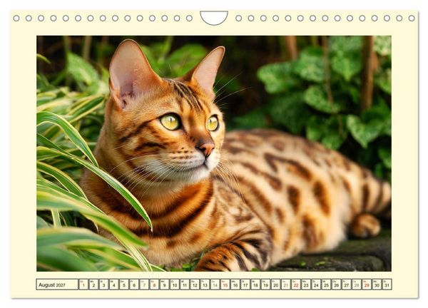 Produktbild: Sch&ouml;ne Katzen. Beliebte Samtpfoten im Garten (Wandkalender 2027 DIN A4 quer), CALVENDO Monatskalender