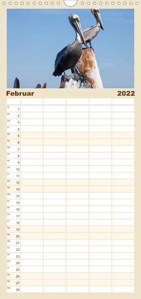 Produktbild: Augenblicke in Baja California Sur - Familienplaner hoch (Wandkalender 2022 , 21 cm x 45 cm, hoch)