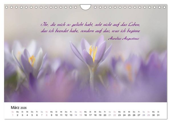 Produktbild: Zeit f&uuml;r Trauer - begleitet mit Zitaten (Wandkalender 2026 DIN A4 quer), CALVENDO Monatskalender