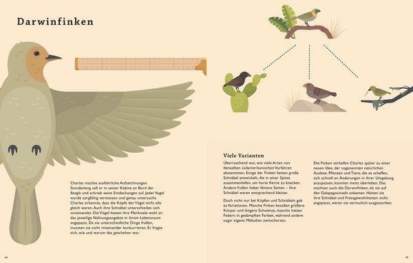 Produktbild: Darwins gro&szlig;e Reise