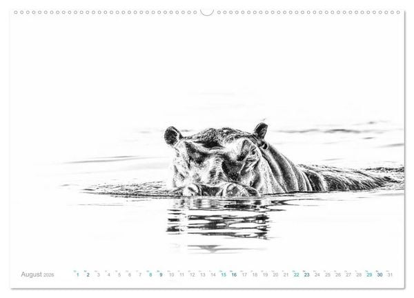 Produktbild: AFRIKA - Schwarz-weiss Fotografien im modernen "High Key" Look (hochwertiger Premium Wandkalender 2026 DIN A2 quer), Kunstdruck in Hochglanz