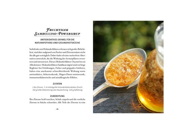 Das große kleine Buch: Oxymel