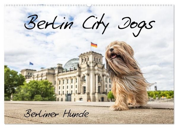Produktbild: Berlin City Dogs - Berliner Hunde (Wandkalender 2026 DIN A2 quer), CALVENDO Monatskalender