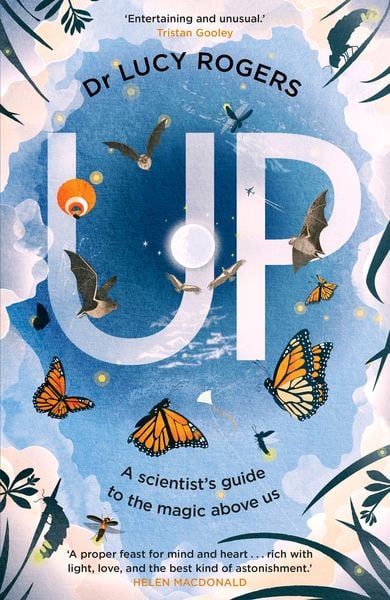 Produktbild: Up