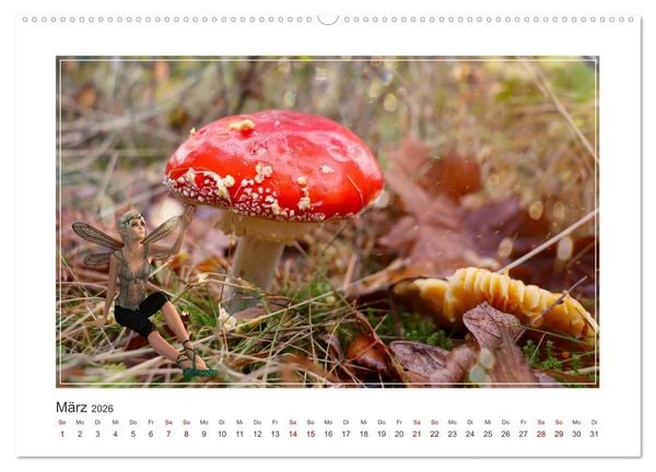 Produktbild: Pilze im Elfenwald (hochwertiger Premium Wandkalender 2026 DIN A2 quer), Kunstdruck in Hochglanz