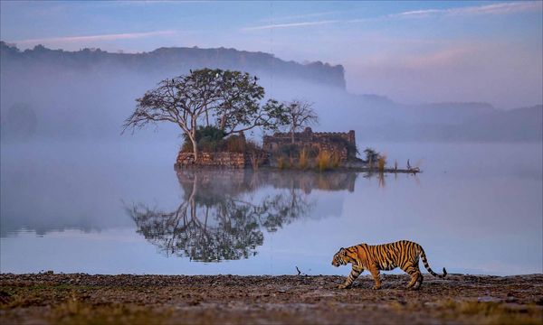 Produktbild: India - UNESCO World Heritage Sites
