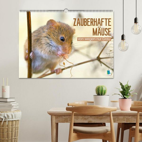 Produktbild: Zauberhafte M&auml;use: Von wegen nur Grau (Wandkalender 2026 DIN A2 quer), CALVENDO Monatskalender