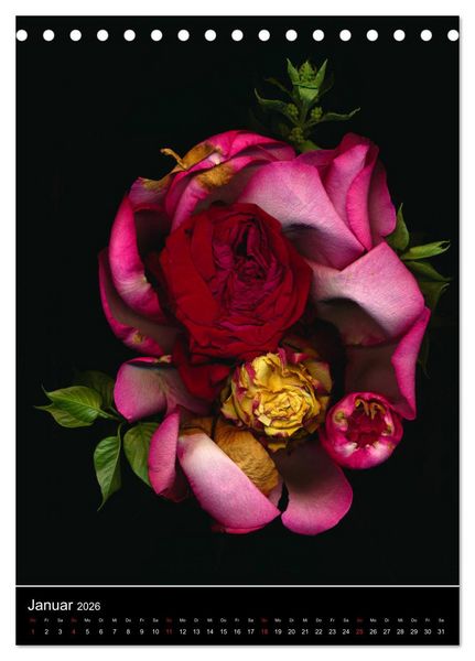 Produktbild: Blumen bei Nacht (Tischkalender 2026 DIN A5 hoch), CALVENDO Monatskalender