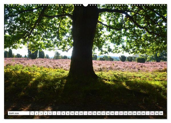 Produktbild: Heidelandschaft im Farbenspiel der Natur (Wandkalender 2026 DIN A2 quer), CALVENDO Monatskalender