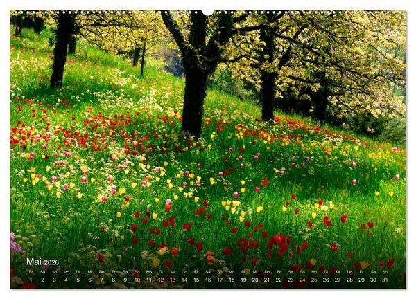 Produktbild: Traum Momente (hochwertiger Premium Wandkalender 2026 DIN A2 quer), Kunstdruck in Hochglanz