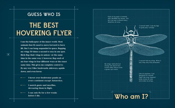 Produktbild: Book of Flight