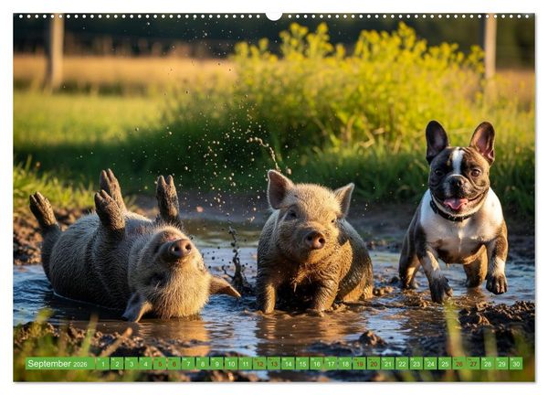 Produktbild: Muddi Buddies &ndash; Freundschaft im Matsch (hochwertiger Premium Wandkalender 2026 DIN A2 quer), Kunstdruck in Hochglanz