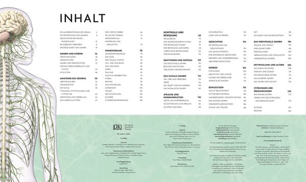 Produktbild: Das Gehirn