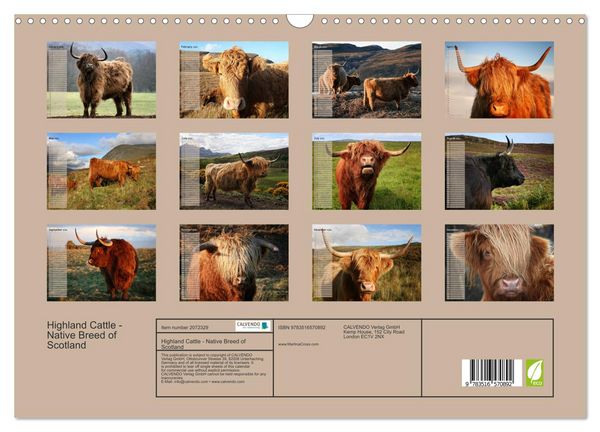 Produktbild: Highland Cattle - Native Breed of Scotland (Wall Calendar 2026 DIN A3 landscape), CALVENDO 12 Month Wall Calendar