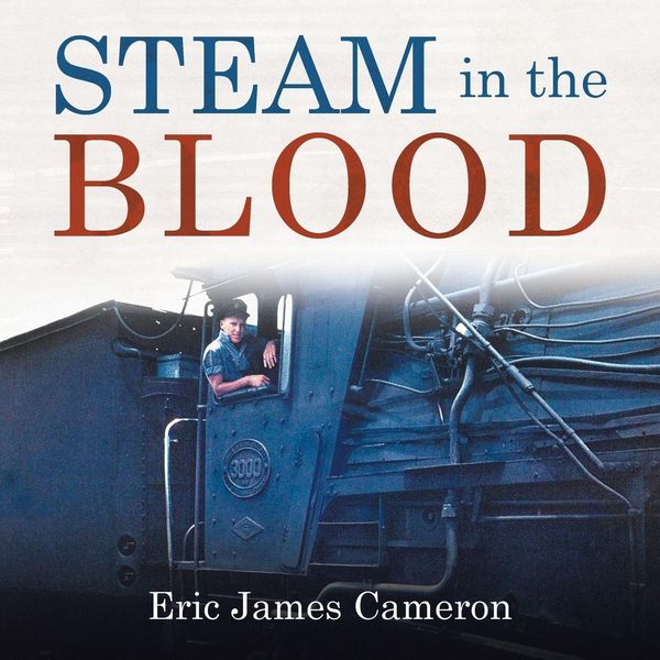 Produktbild: Steam in the Blood