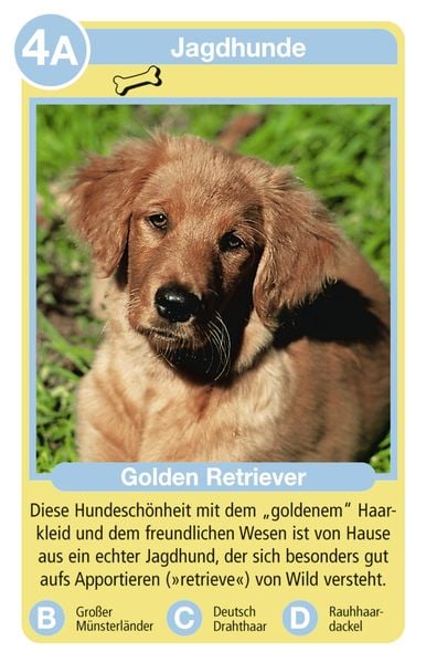 Produktbild: Tierquartett Hunde - Kartenspiel ab 4 Jahre
