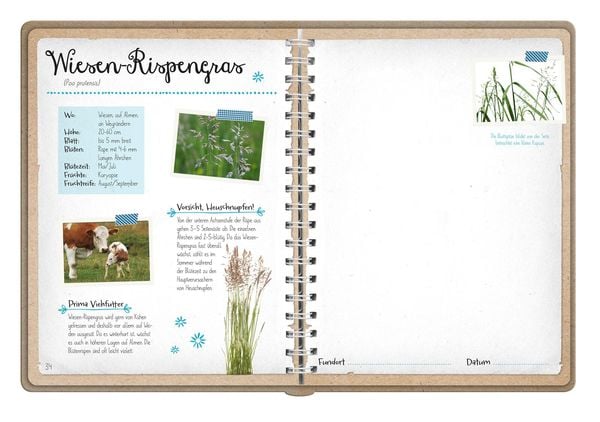 Produktbild: Naturforscher-Kids &ndash; Bl&uuml;ten und Bl&auml;tter entdecken und sammeln