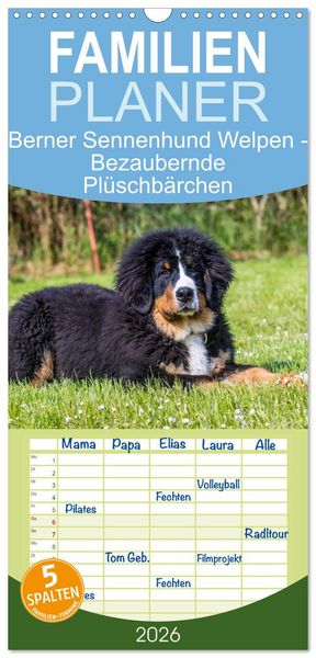 Familienplaner 2026 - Berner Sennenhund Welpen - Bezaubernde Plüschbärchen mit 5 Spalten (Wandkalender, 21 x 45 cm) CALVENDO