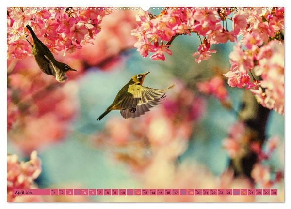 Produktbild: JAPAN - Im Land des L&auml;chelns (Wandkalender 2026 DIN A2 quer), CALVENDO Monatskalender