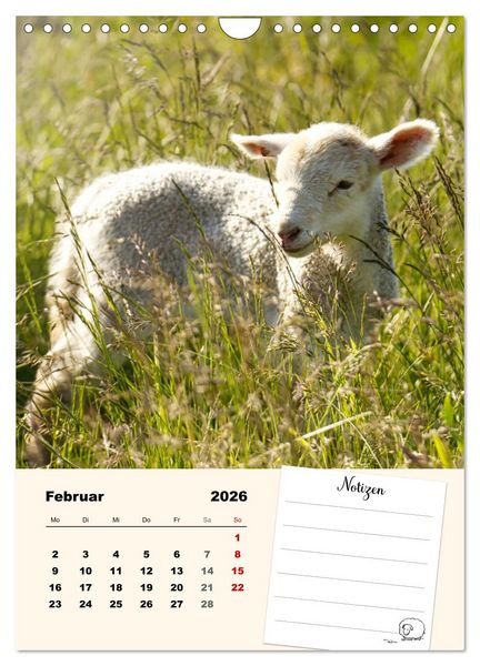 Produktbild: L&auml;mmergl&uuml;ck (Wandkalender 2026 DIN A4 hoch), CALVENDO Monatskalender