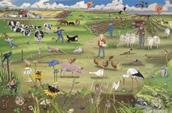 Produktbild: Tiere von nebenan