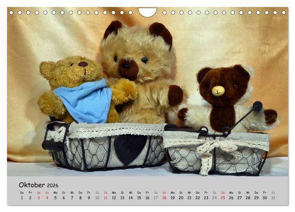 Produktbild: TEDDYB&Auml;R, OH TEDDYB&Auml;R... (Wandkalender 2026 DIN A4 quer), CALVENDO Monatskalender