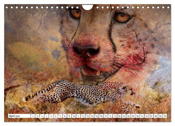 Produktbild: Emotionale Momente: African Dreams (Wandkalender 2026 DIN A4 quer), CALVENDO Monatskalender