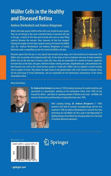 Produktbild: M&uuml;ller Cells in the Healthy and Diseased Retina