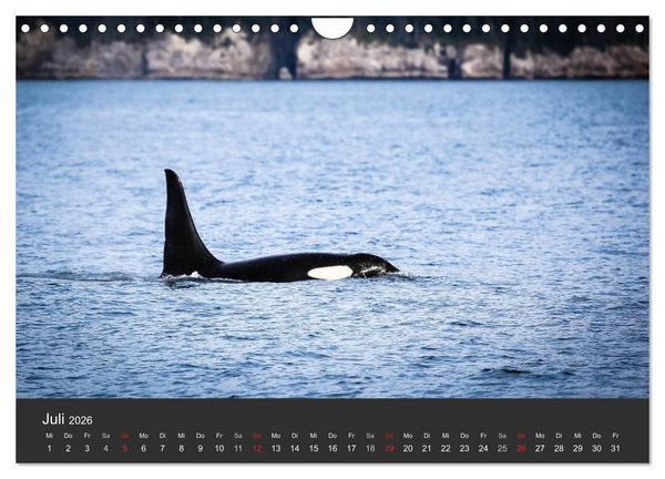 Produktbild: Alaska 2026 - faszinierend anders (Wandkalender 2026 DIN A4 quer), CALVENDO Monatskalender
