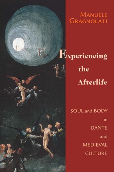 Produktbild: Experiencing the Afterlife