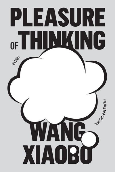Produktbild: Pleasure of Thinking
