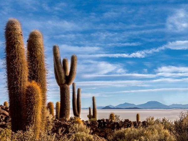 Produktbild: CALVENDO Puzzle Ein Motiv aus dem Kalender Bolivien - Einzigartige Landschaft 1000 Teile Puzzle quer | 1000 Teile Lege-Gr&ouml;&szlig;e 64 &times; 48 cm Foto-Puzzle f&uuml;r gl&uuml;ckliche Stunden