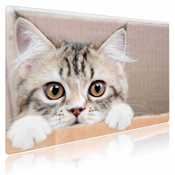 Produktbild: Cover-your-desk Schreibtischunterlage f&uuml;r Kinder und Erwachsene Maine Coon K&auml;tzchen, aus hochwertigem Vinyl , 60 x 40 cm