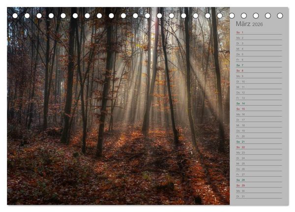 Produktbild: Planungskalender M&auml;rchenwald 2026 (Tischkalender 2026 DIN A5 quer), CALVENDO Monatskalender
