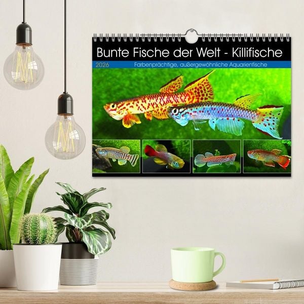 Produktbild: Bunte Fische der Welt - Killifische (Wandkalender 2026 DIN A4 quer), CALVENDO Monatskalender