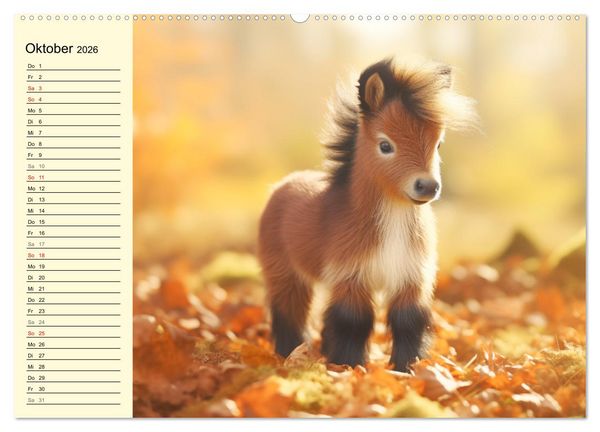 Produktbild: Kleine Pferde. Mini-Ponys zum verlieben (hochwertiger Premium Wandkalender 2026 DIN A2 quer), Kunstdruck in Hochglanz