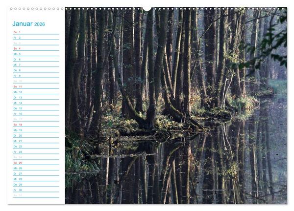Produktbild: Wundersch&ouml;ner Spreewald (Wandkalender 2026 DIN A2 quer), CALVENDO Monatskalender