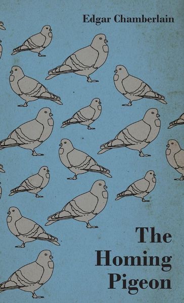 Produktbild: The Homing Pigeon